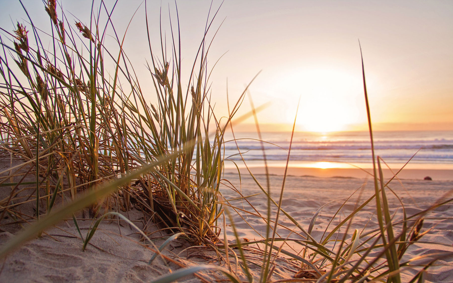 Choosing a North Myrtle Beach Vacation Rental