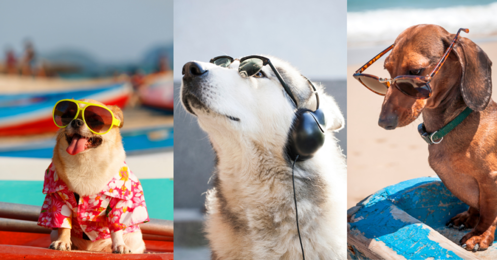 Pet-friendly properties in North Myrtle Beach | Thomas Beach Vacations