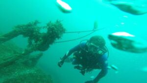 scuba divers