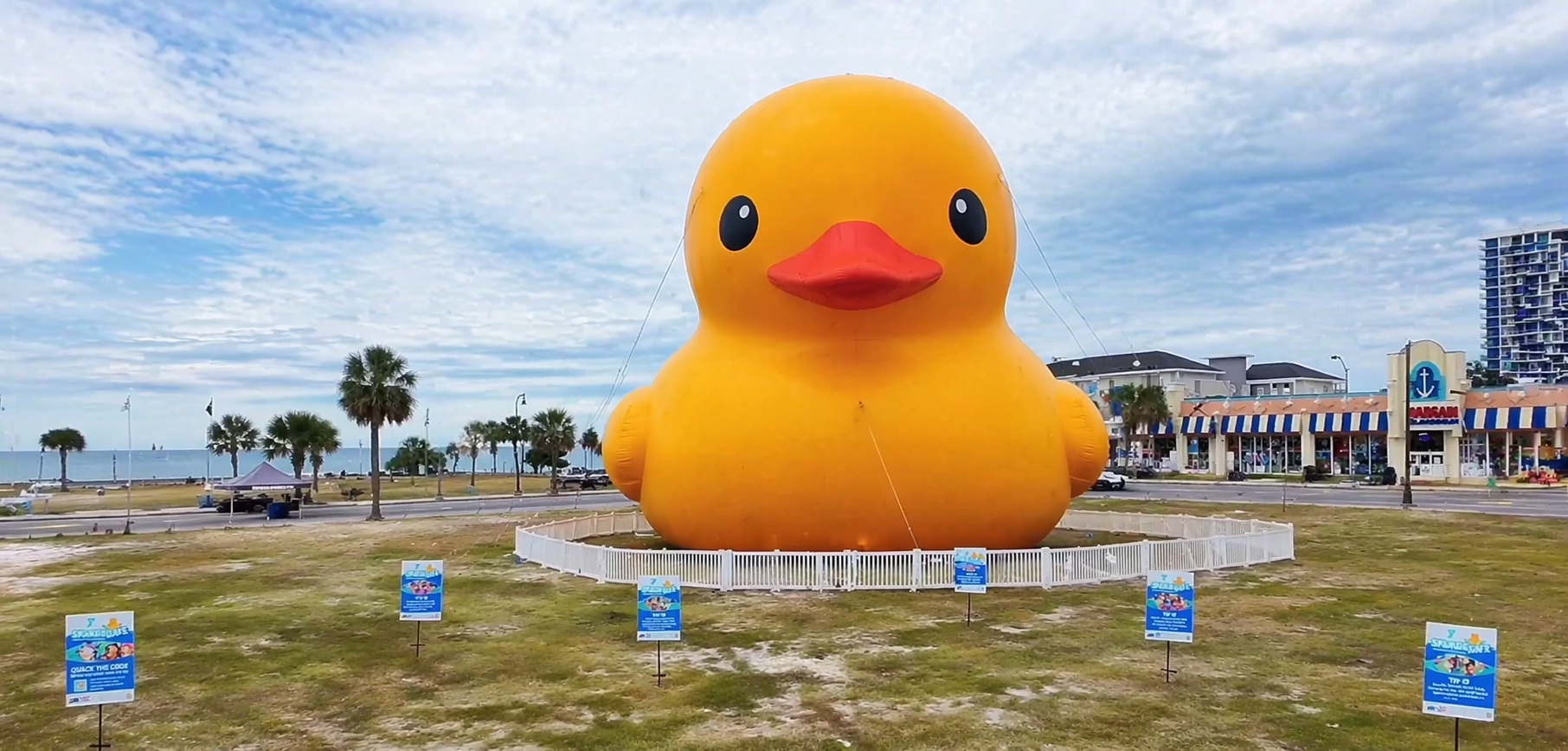 Mama Duck Returns to Myrtle Beach – World’s Largest Rubber Duck May 1–2, 2026